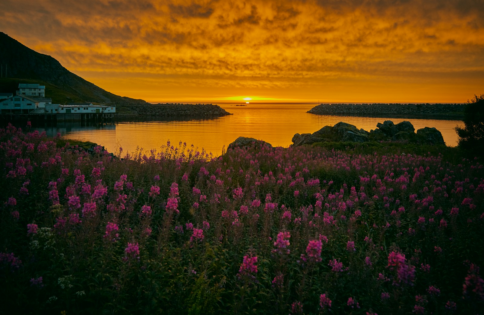Goldene Stunde über norwegischer Landschaft im Frühling